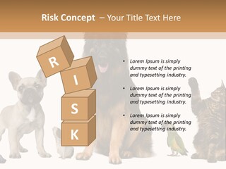 Pet Dart Guinea Pig PowerPoint Template