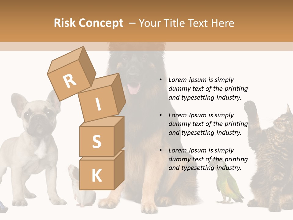 Pet Dart Guinea Pig PowerPoint Template