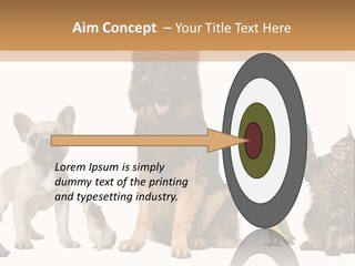 Pet Dart Guinea Pig PowerPoint Template