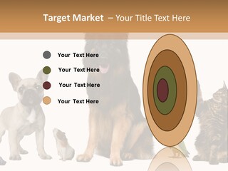 Pet Dart Guinea Pig PowerPoint Template