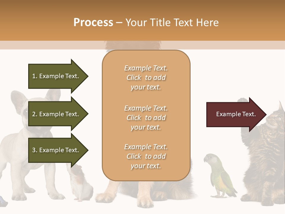 Pet Dart Guinea Pig PowerPoint Template