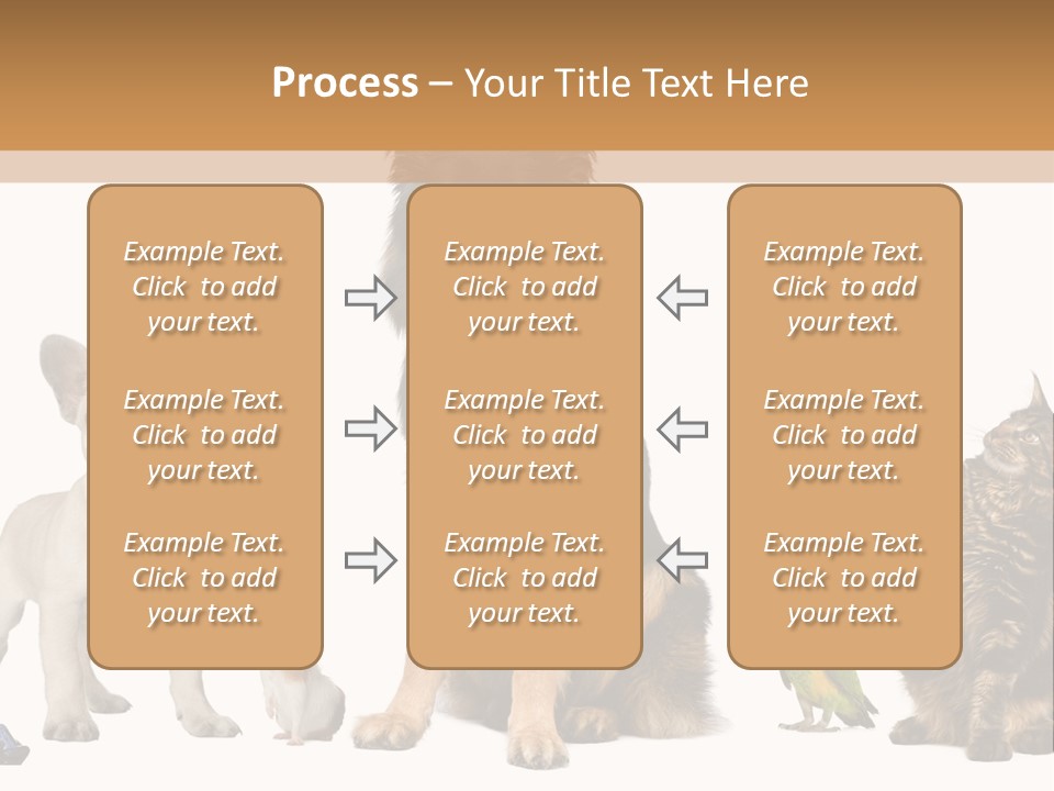Pet Dart Guinea Pig PowerPoint Template