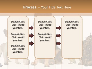 Pet Dart Guinea Pig PowerPoint Template