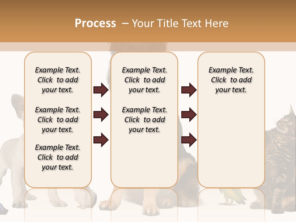 Pet Dart Guinea Pig PowerPoint Template