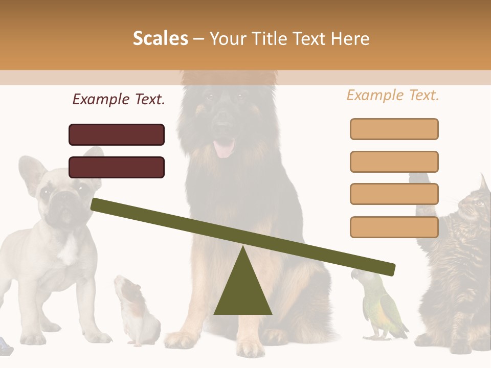 Pet Dart Guinea Pig PowerPoint Template