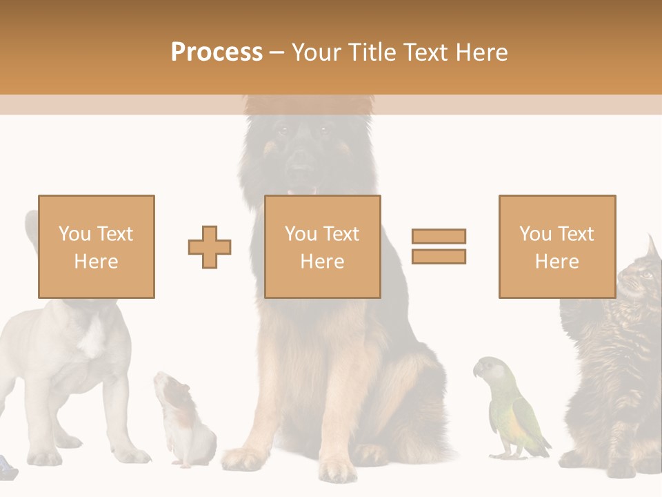 Pet Dart Guinea Pig PowerPoint Template