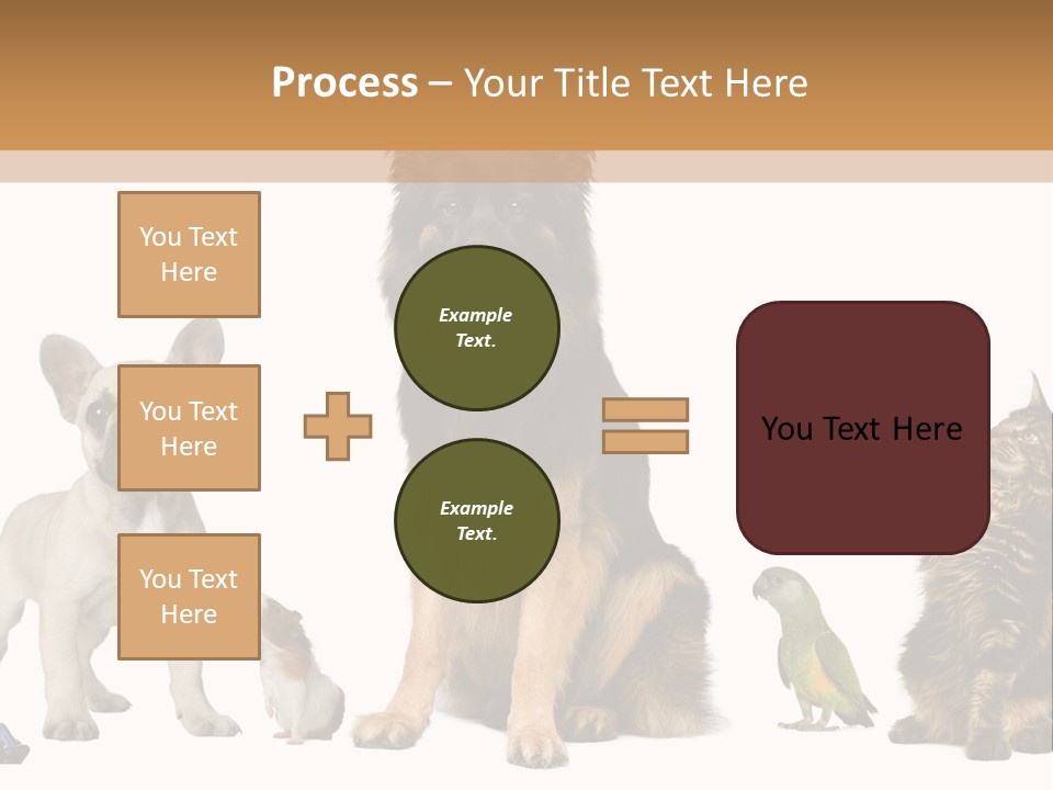 Pet Dart Guinea Pig PowerPoint Template