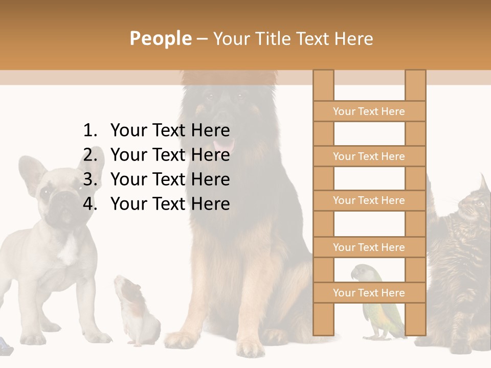 Pet Dart Guinea Pig PowerPoint Template