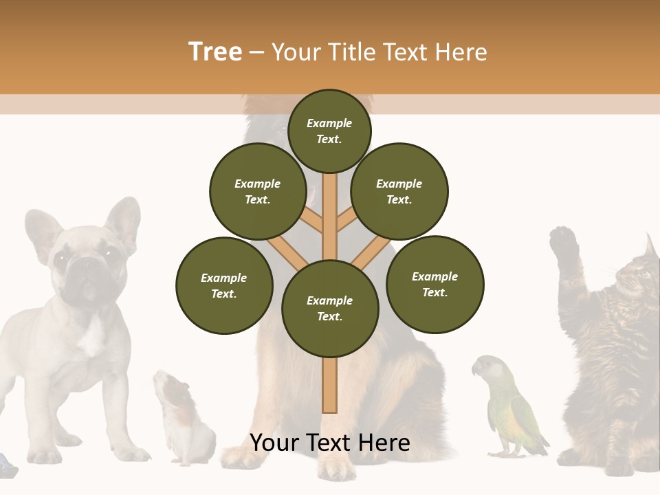 Pet Dart Guinea Pig PowerPoint Template