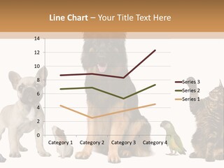 Pet Dart Guinea Pig PowerPoint Template