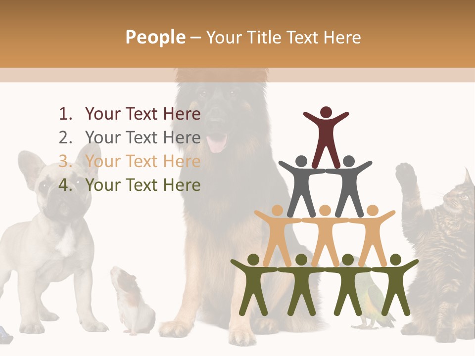 Pet Dart Guinea Pig PowerPoint Template