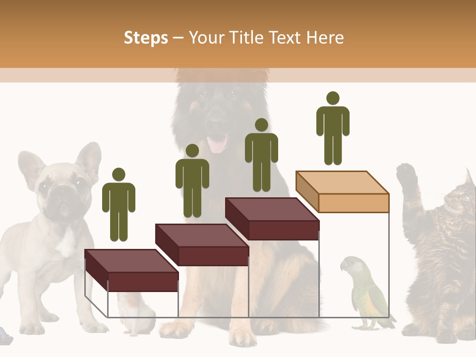 Pet Dart Guinea Pig PowerPoint Template