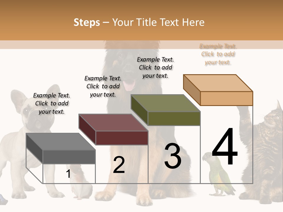 Pet Dart Guinea Pig PowerPoint Template