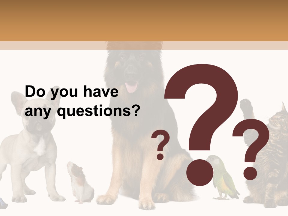 Pet Dart Guinea Pig PowerPoint Template