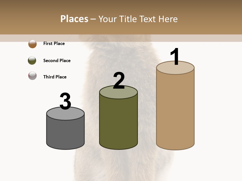 Wabbit Easter Bunny PowerPoint Template