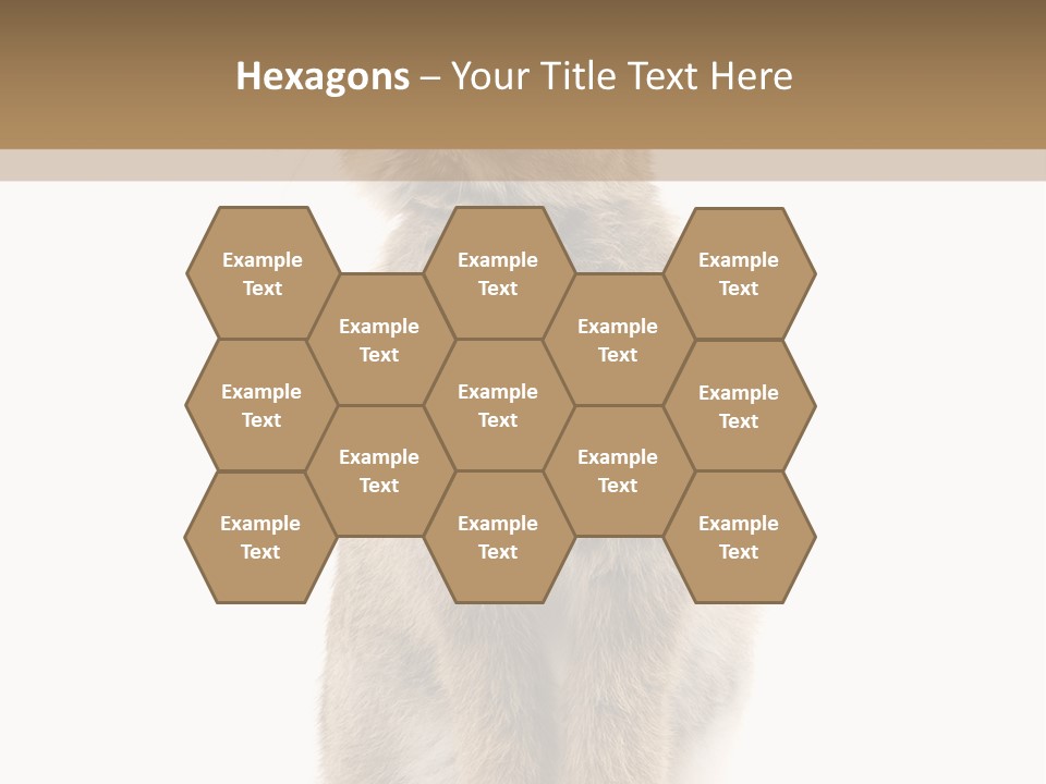 Wabbit Easter Bunny PowerPoint Template