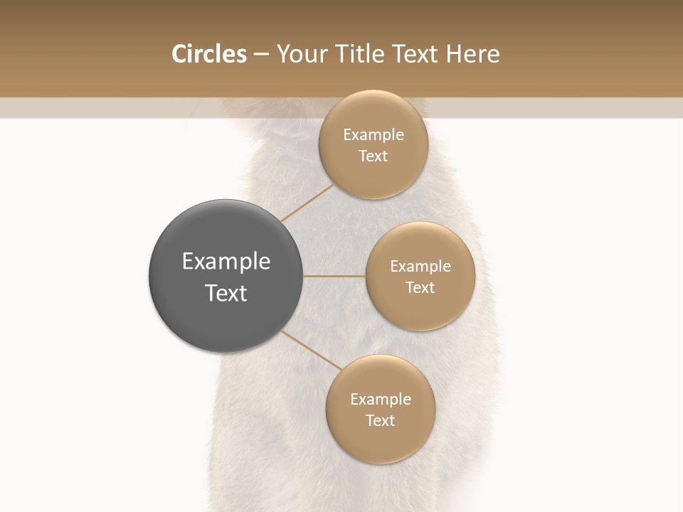 Wabbit Easter Bunny PowerPoint Template