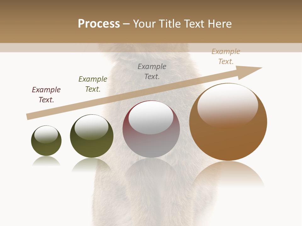 Wabbit Easter Bunny PowerPoint Template