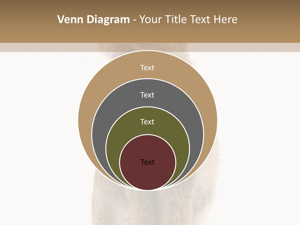 Wabbit Easter Bunny PowerPoint Template