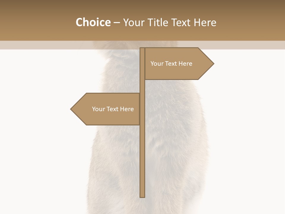 Wabbit Easter Bunny PowerPoint Template