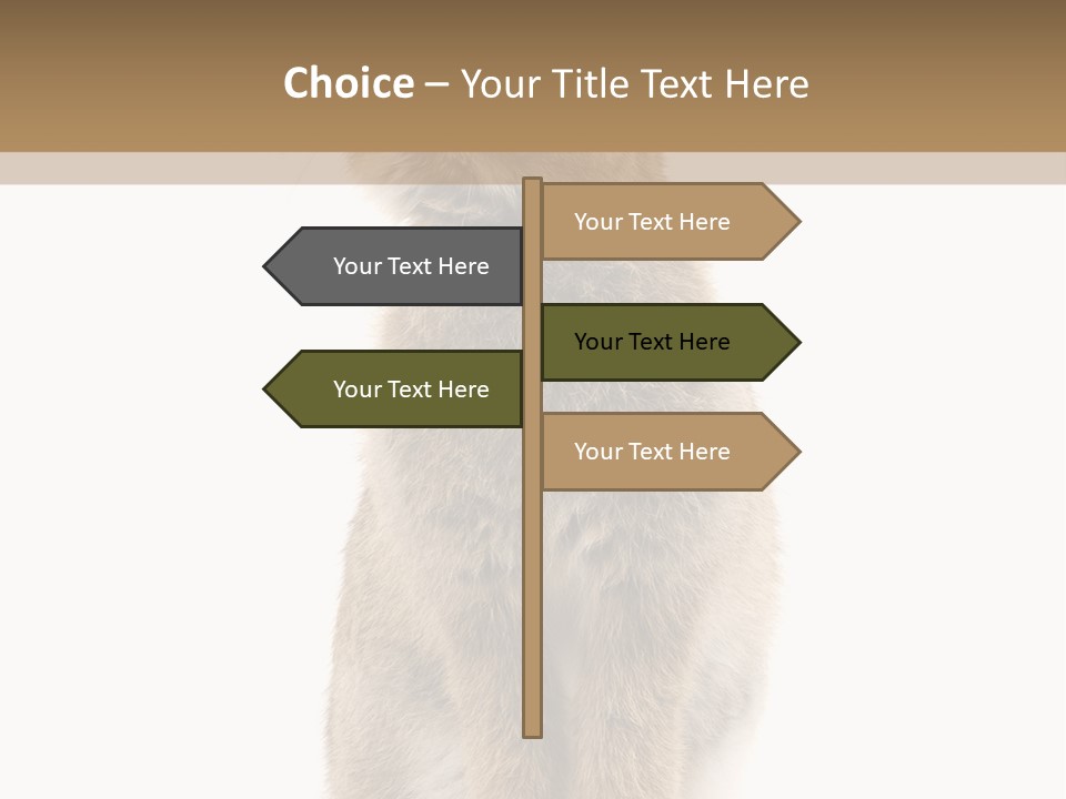 Wabbit Easter Bunny PowerPoint Template