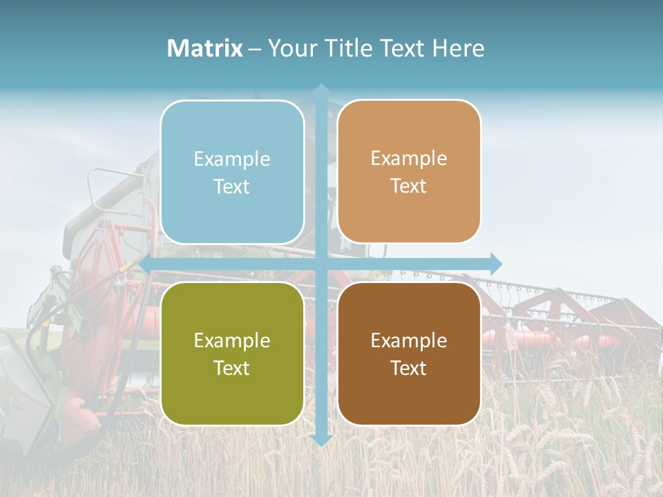 Plant Rye Cereal PowerPoint Template