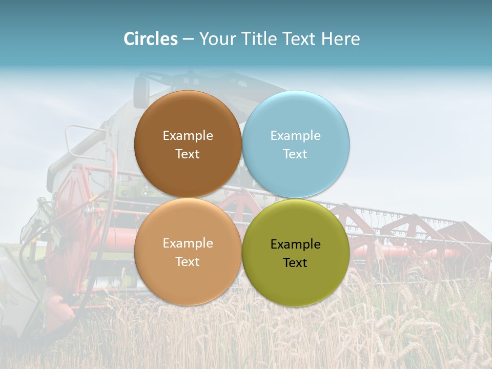 Plant Rye Cereal PowerPoint Template