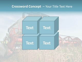 Plant Rye Cereal PowerPoint Template