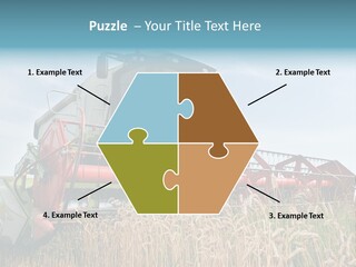 Plant Rye Cereal PowerPoint Template