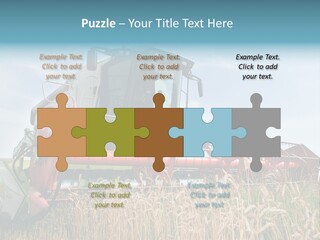 Plant Rye Cereal PowerPoint Template