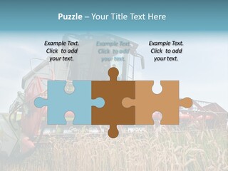 Plant Rye Cereal PowerPoint Template