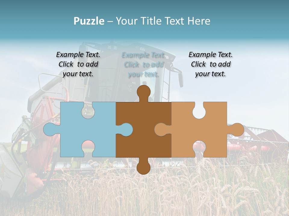 Plant Rye Cereal PowerPoint Template