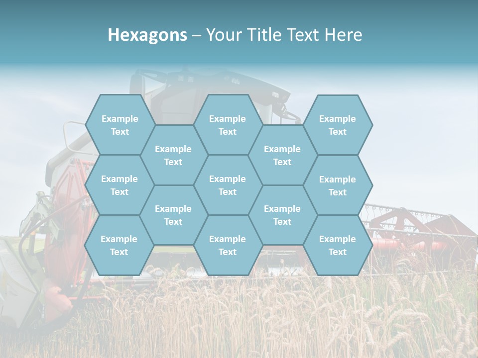 Plant Rye Cereal PowerPoint Template