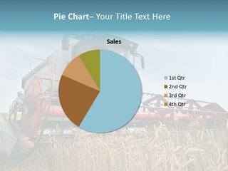 Plant Rye Cereal PowerPoint Template