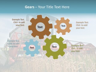 Plant Rye Cereal PowerPoint Template
