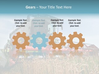 Plant Rye Cereal PowerPoint Template