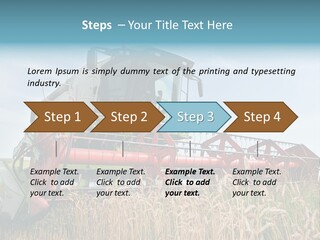 Plant Rye Cereal PowerPoint Template