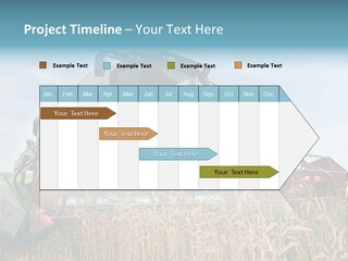 Plant Rye Cereal PowerPoint Template