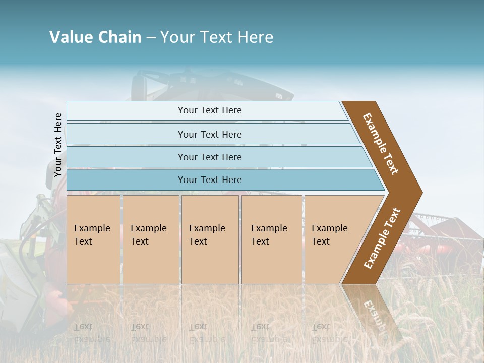 Plant Rye Cereal PowerPoint Template