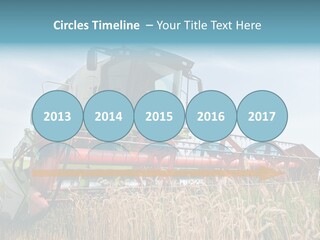 Plant Rye Cereal PowerPoint Template