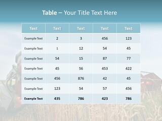 Plant Rye Cereal PowerPoint Template