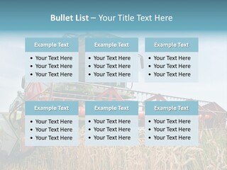 Plant Rye Cereal PowerPoint Template