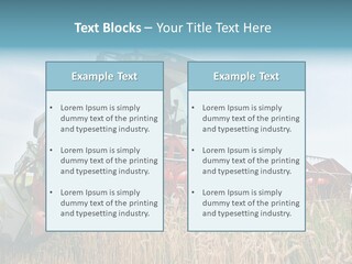 Plant Rye Cereal PowerPoint Template