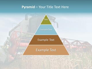 Plant Rye Cereal PowerPoint Template
