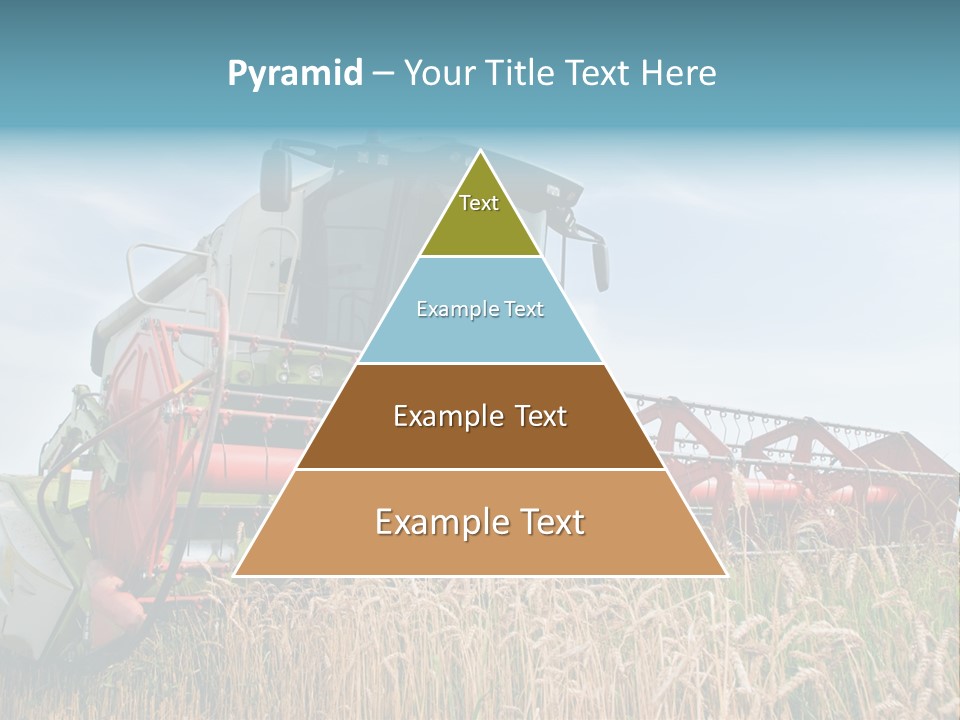 Plant Rye Cereal PowerPoint Template