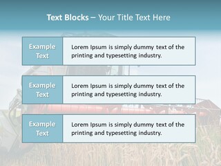 Plant Rye Cereal PowerPoint Template