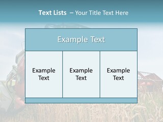 Plant Rye Cereal PowerPoint Template