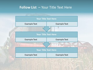 Plant Rye Cereal PowerPoint Template