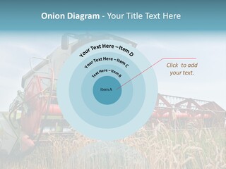 Plant Rye Cereal PowerPoint Template