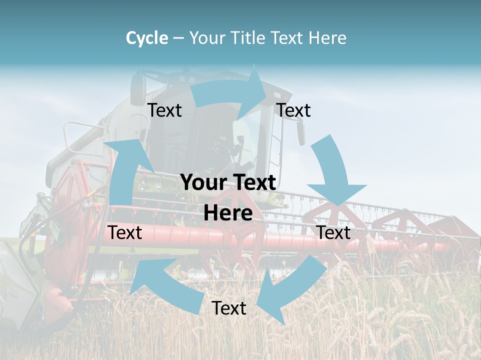 Plant Rye Cereal PowerPoint Template